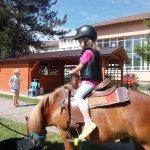 phoca_thumb_m_ponk 136 Fotogalerie